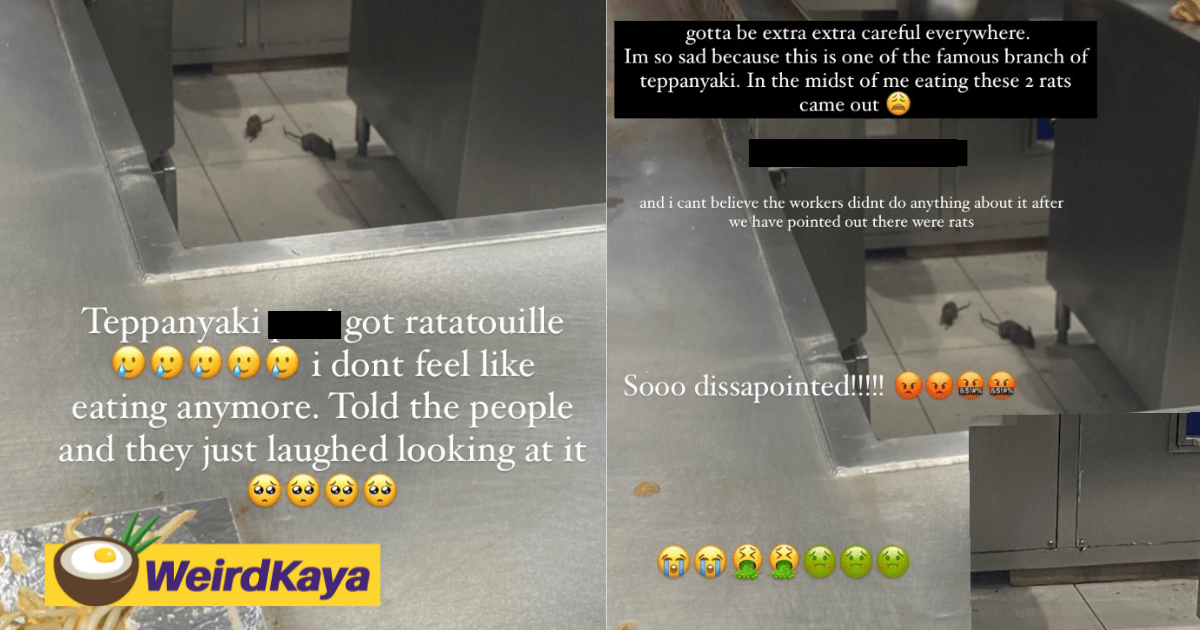 2 rats spotted at Teppanyaki Pav