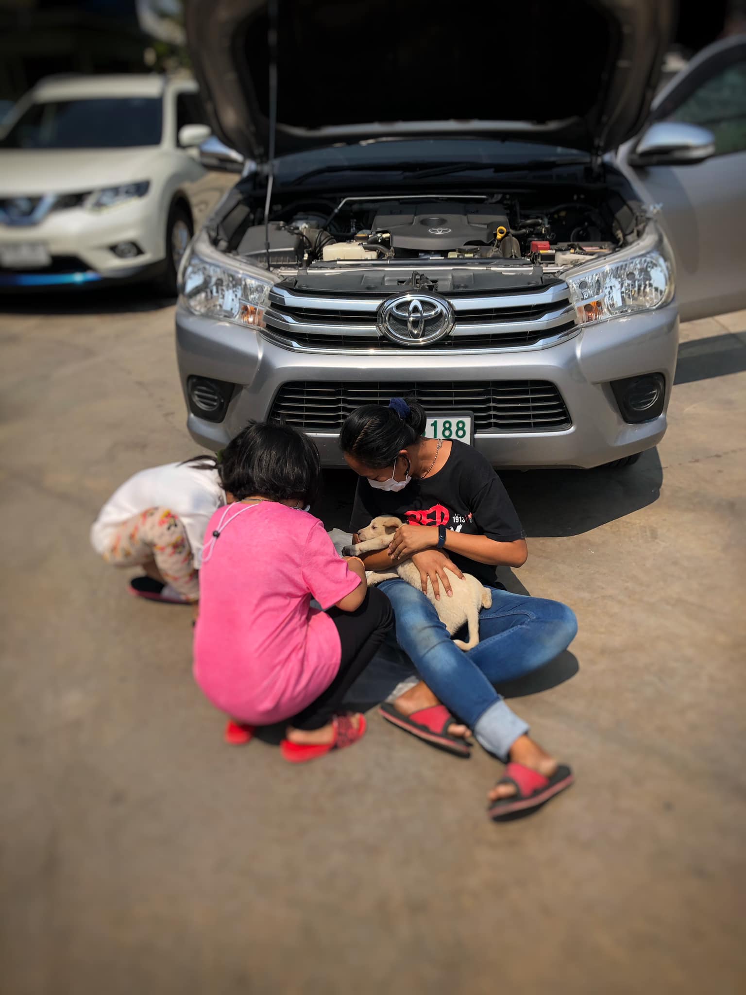 Puppy survives 50KM ride while trapped underneath the car