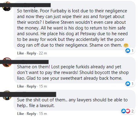 UPDATE: Pet centre refuses to fulfill agreement to pay RM2,000 reward over missing dog