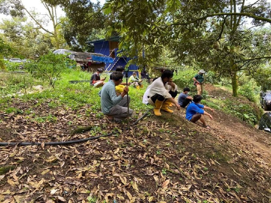 [VIDEO] Enforcement officers clear illegal durian farm and arrest 18 farmers
