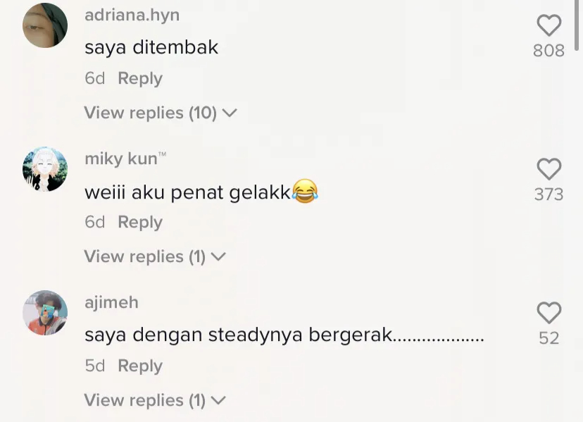 Squid game TikTok comment section (2)