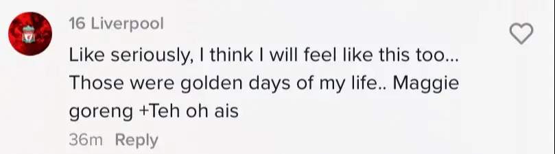 TikTok comment - golden days
