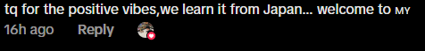 Comment on japanese praise KL cleanliness (3)