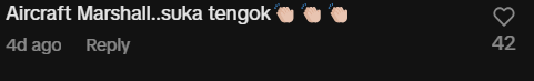Comment on Marshall silat command (1)