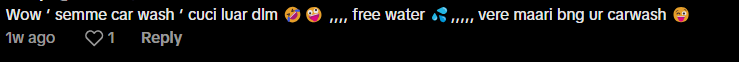 Comment on towing car in water (1)