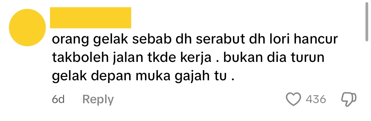 Comment03_Elephant in M’sia Caught Munching Plants While Riding on Truck .jpg