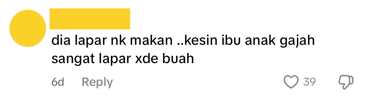 Comment04_Elephant in M’sia Caught Munching Plants While Riding on Truck .jpg