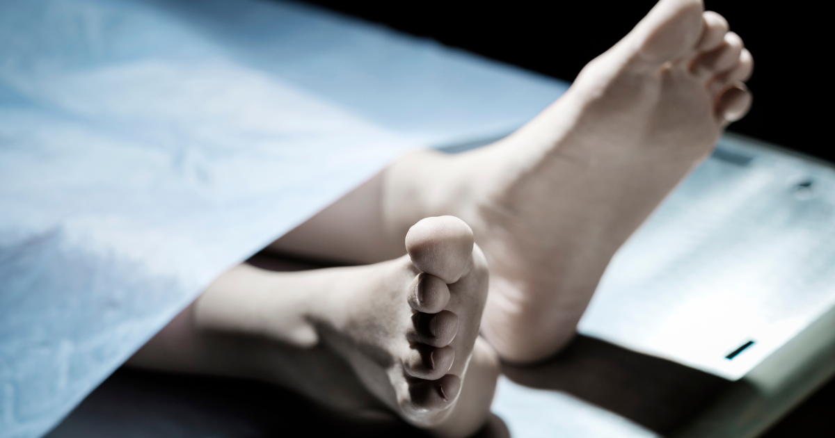 dead body (4)
