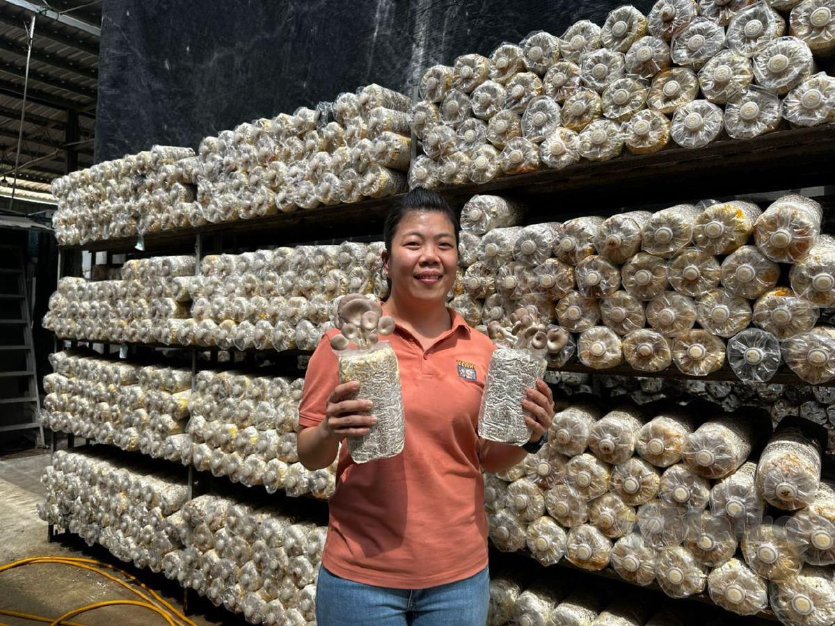 Jong Siew Kuen at a mushroom farm