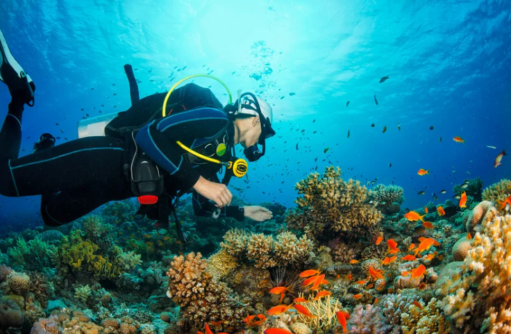 Man diving underwater