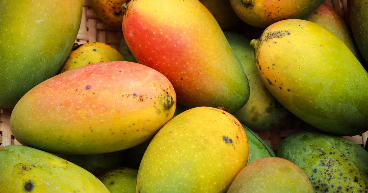 Mango