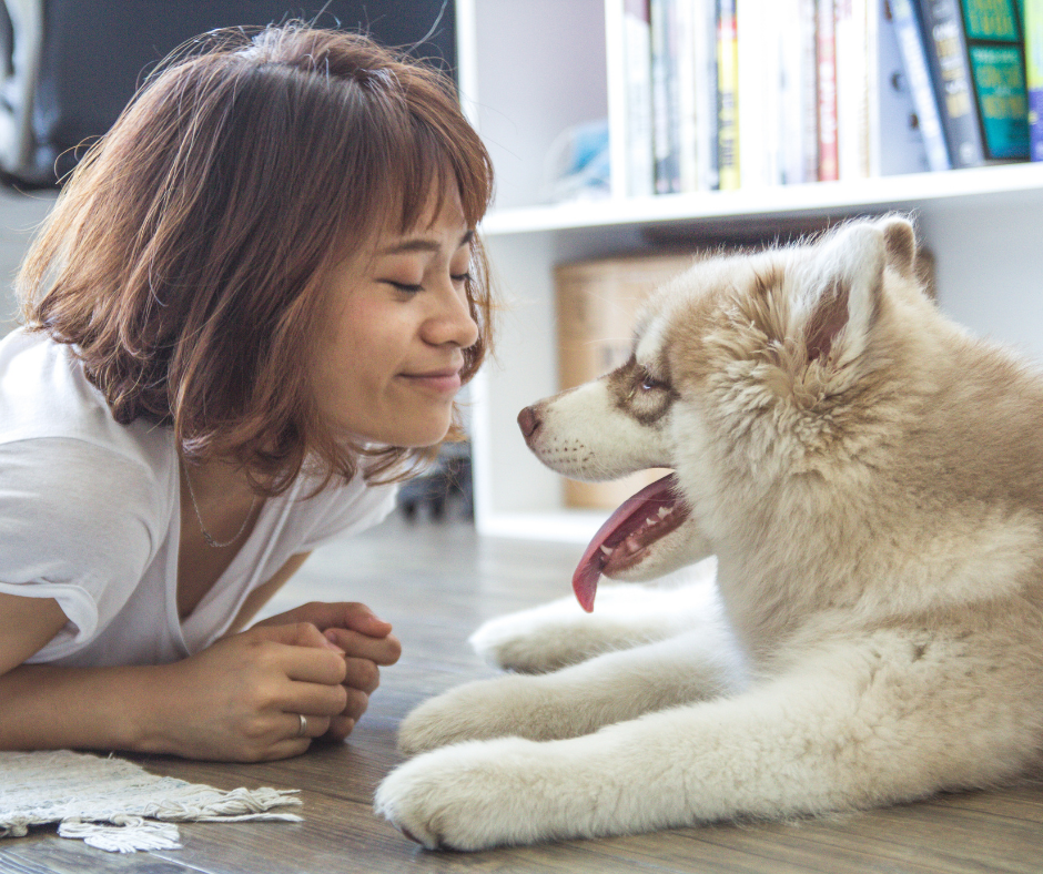 Furry friend